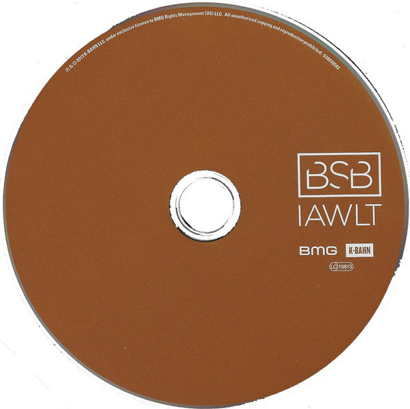 Backstreet Boys : In A World Like This (CD, Album)