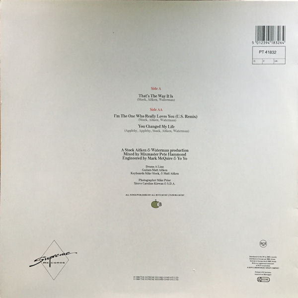 Mel & Kim : That's The Way It Is (12", Single)