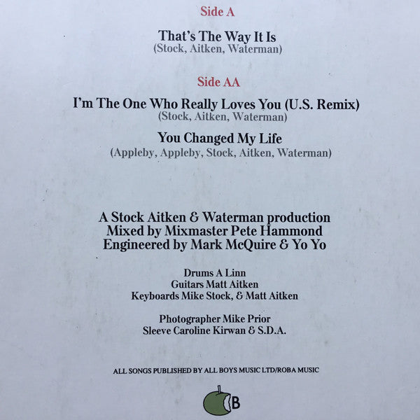 Mel & Kim : That's The Way It Is (12", Single)