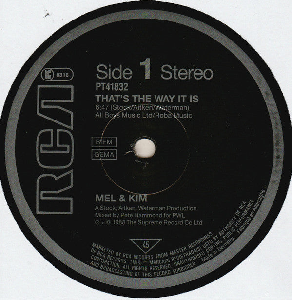 Mel & Kim : That's The Way It Is (12", Single)