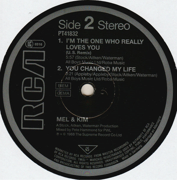 Mel & Kim : That's The Way It Is (12", Single)