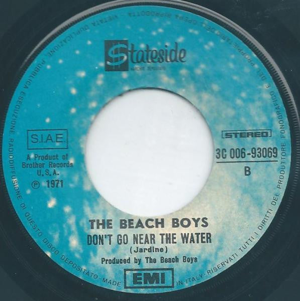 The Beach Boys : Student Demonstration Time / Don't Go Near The Water (7")
