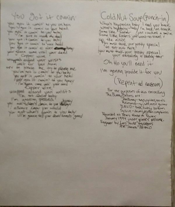 The Bunny Brains : You Got It (Comin') (7", Ltd)