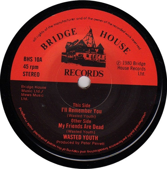 Wasted Youth (3) : I'll Remember You (7", Single)