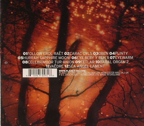 Frog Pocket : Gonglot (CD, Album)