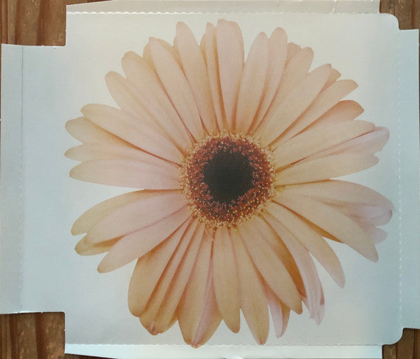 Kim Hoorweg : Kim Is Back (CD, Album)