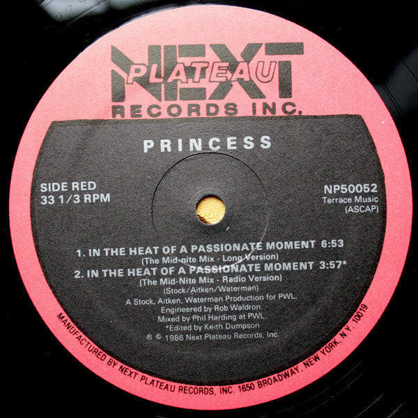 Princess : In The Heat Of A Passionate Moment (12")