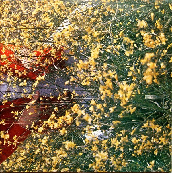 Camilo Sesto : Rasgos (LP, Album, RE, Gat)