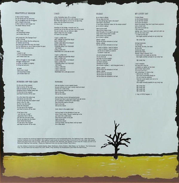 Jon Dee Graham & The Fighting Cocks : It's Not As Bad As It Looks (LP, Album + CD, Album)