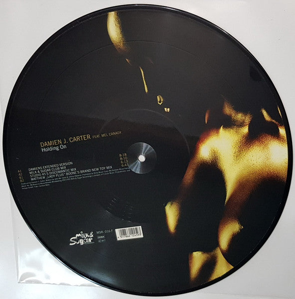 Damien J. Carter Feat. Mel Canady : Holding On (12", Pic)