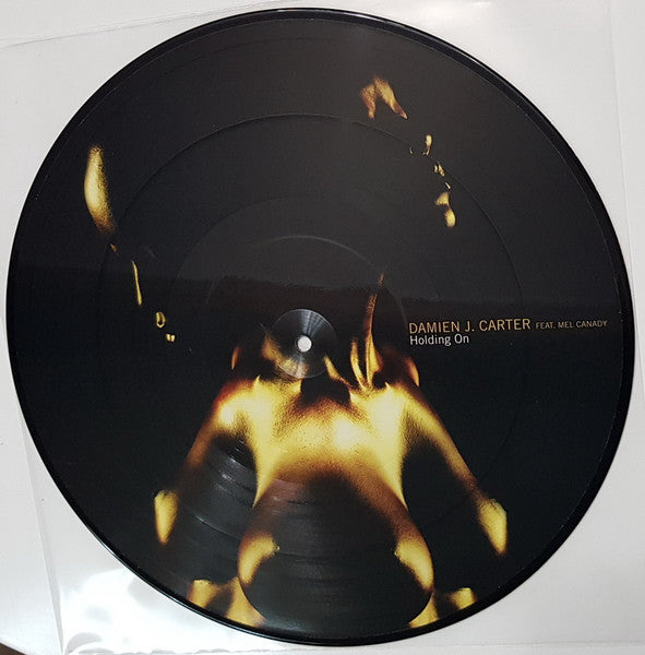 Damien J. Carter Feat. Mel Canady : Holding On (12", Pic)