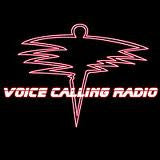 Voice Calling Radio : Voice Calling Radio (CD)