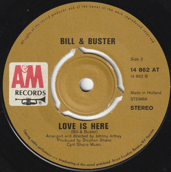 Bill & Buster : Hold On To What You've Got (7", Single, bro)