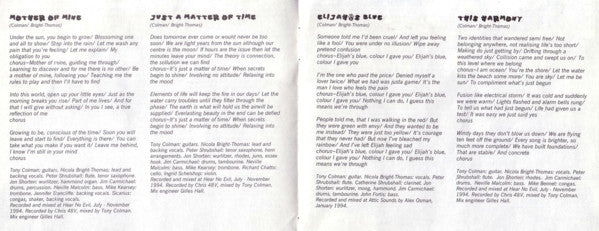 Izit : Imaginary Man (CD)