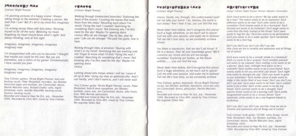 Izit : Imaginary Man (CD)