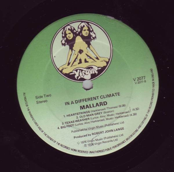 Mallard : In A Different Climate (LP, Album)