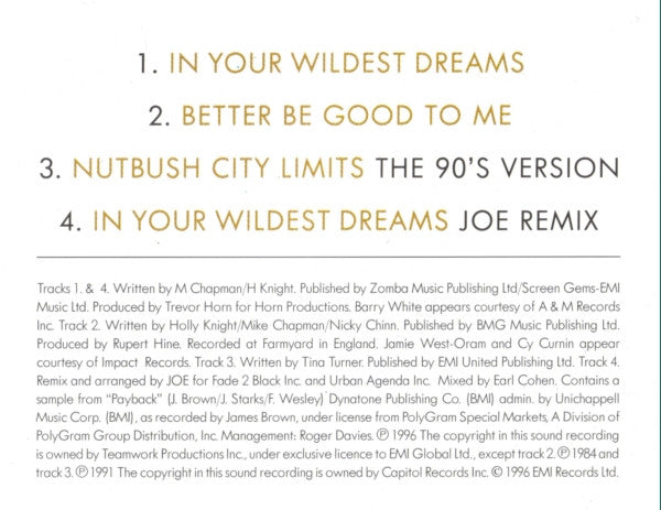 Tina Turner Featuring Barry White : In Your Wildest Dreams (CD, Maxi)