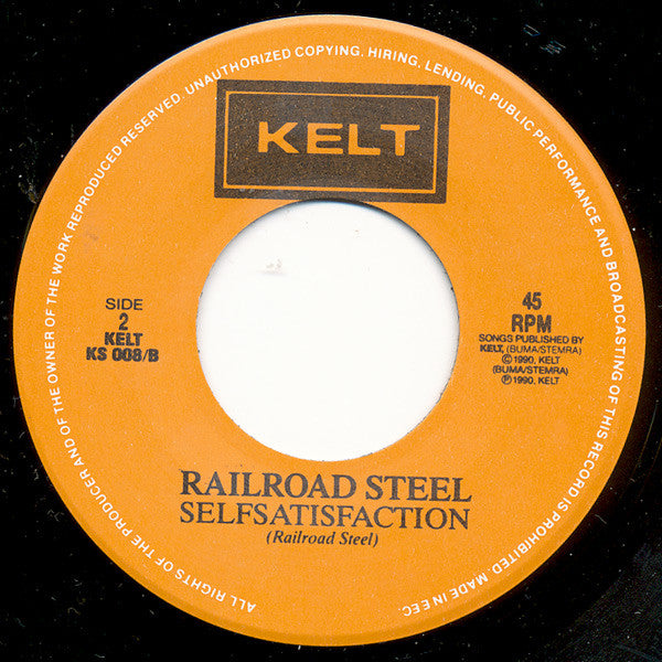 Railroad Steel : The Sun's Got Too Hot (7")