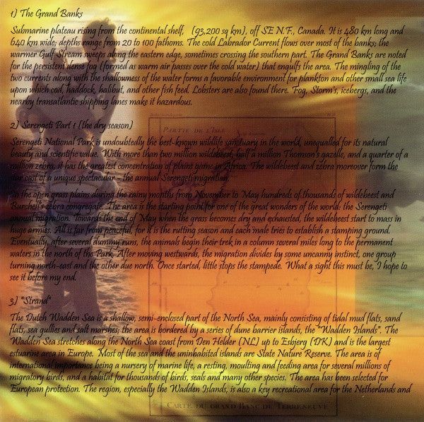 Ron Boots : Area Movement (CD, Album)