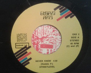 Streetlevel : Never Knew / Finish Of The Bliss (7", Single)
