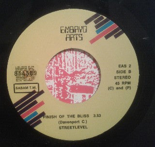 Streetlevel : Never Knew / Finish Of The Bliss (7", Single)