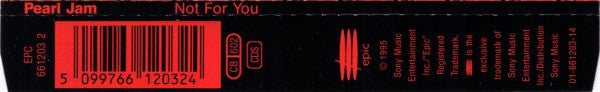 Pearl Jam : Not For You (CD, Single)