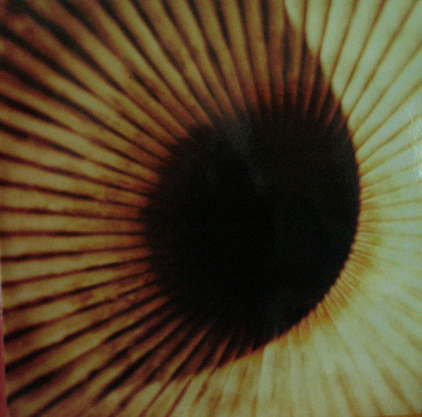 MVFS : Many Very Fine Songs '95-'99 (LP)