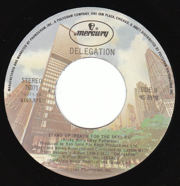 Delegation : Heartache No.9 (7")