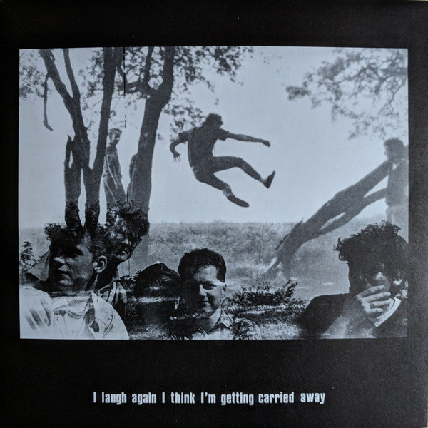 The Wild Flowers : The Joy Of It All (LP, Album)