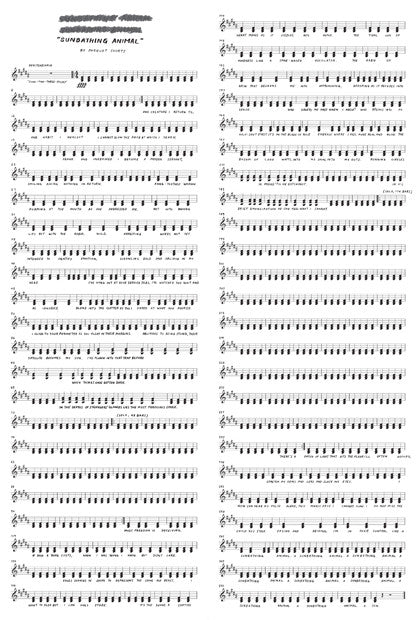 Parquet Courts : Sunbathing Animal (7", RSD, Single, Ltd)
