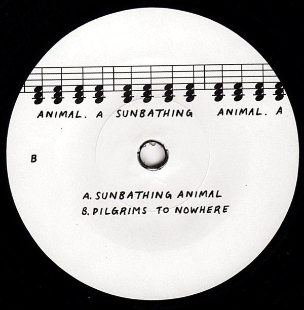 Parquet Courts : Sunbathing Animal (7", RSD, Single, Ltd)