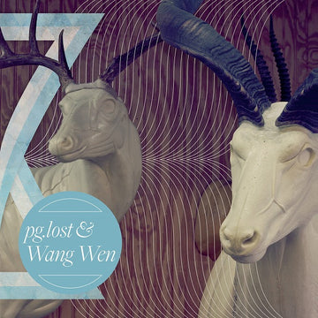 pg.lost & Wang Wen : pg.lost & Wang Wen (LP, MiniAlbum, Bro)