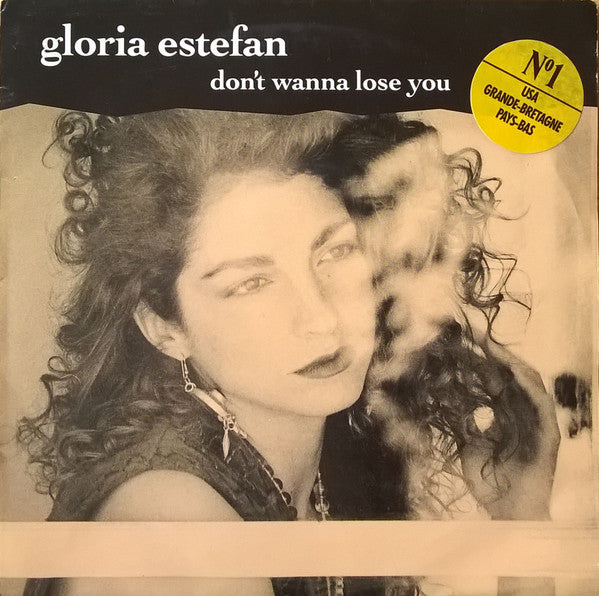 Gloria Estefan : Don't Wanna Lose You (7", Single)