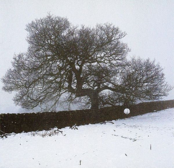 k.d. lang : Hymns Of The 49th Parallel (CD, Album)