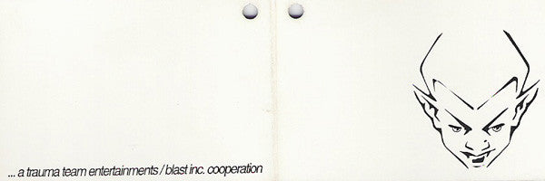 Disappointed Wannabees : Disappointed Wannabees (CD, Mini)