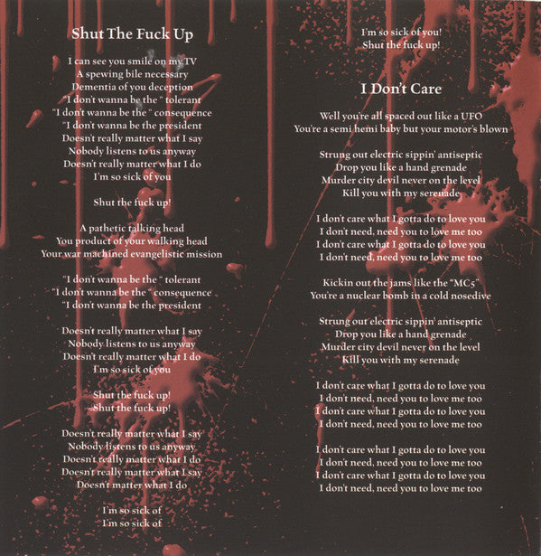 Brides Of Destruction : Here Come The Brides (CD, Album, Enh)