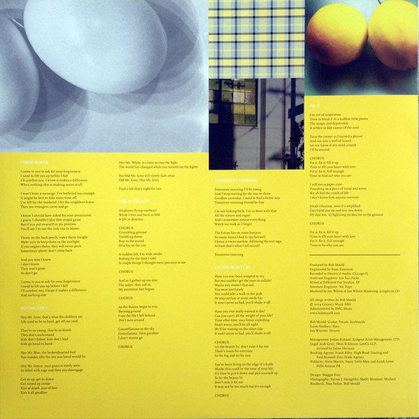 Bob Mould : Beauty & Ruin (LP, Album, Ltd, Yel)