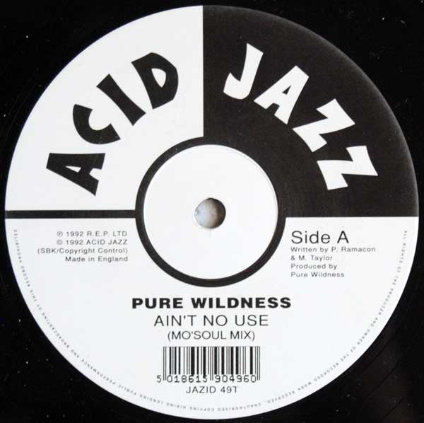 Pure Wildness : Ain't No Use (12")