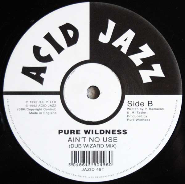 Pure Wildness : Ain't No Use (12")