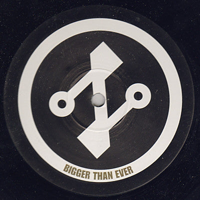 The Reese Project : The Colour Of Love (Play Boys Remix) (12", Promo)