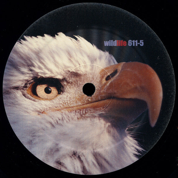 DJ Debra : Radical (12")