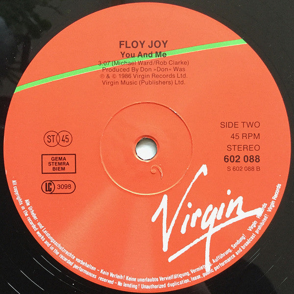 Floy Joy : Weak In The Presence Of Beauty (12")