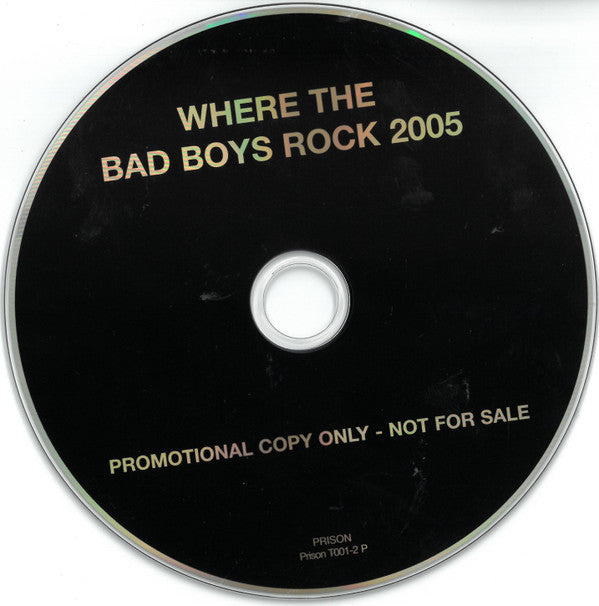 Various : Where The Bad Boys Rock Tour 2005 (CD, Comp, Promo)