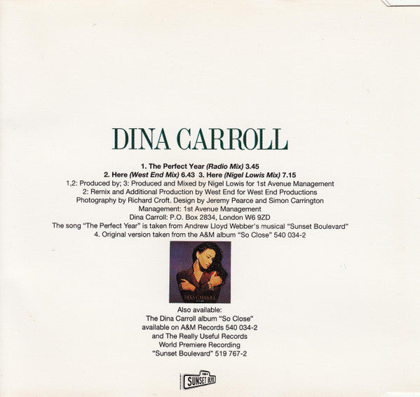 Dina Carroll : The Perfect Year (CD, Single)