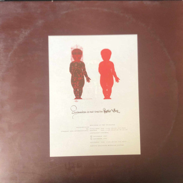 Wishmountain / Radio Boy : Wishmountain Is Dead, Long Live Radio Boy (2x12", Album)