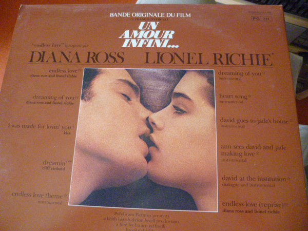 Various : Endless Love (Un Amour Infini...) (LP, Comp, Gat)