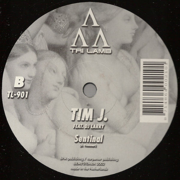 Tim J : Denon (12")
