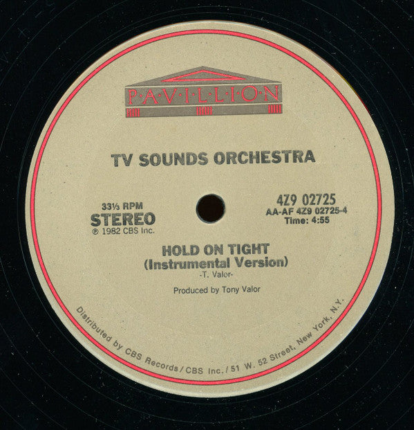 Fantasy (2) : Hold On Tight (12")