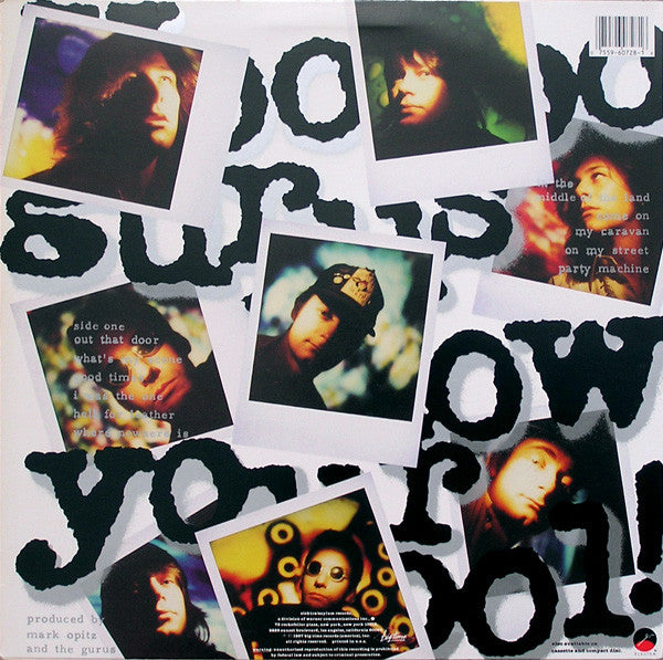 Hoodoo Gurus : Blow Your Cool! (LP, Album)