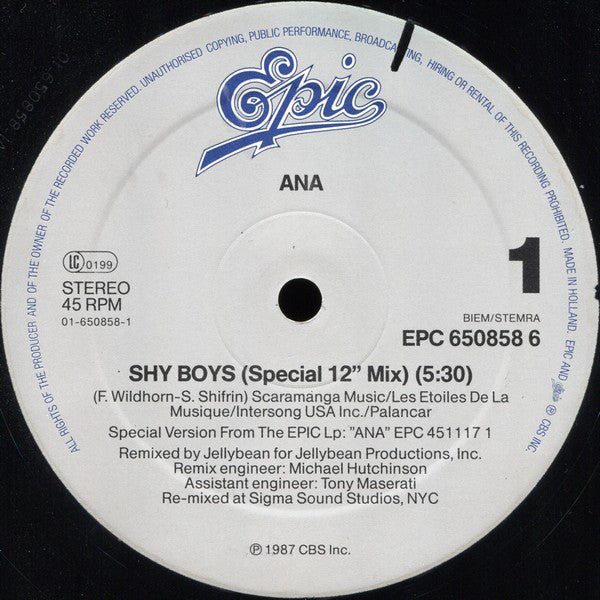 Ana : Shy Boys (12", Maxi)